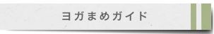 ヨガ　まめクッション